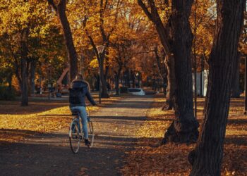 Tre comuni lanciano ‘Save By Cycling’: quando pedalare conviene