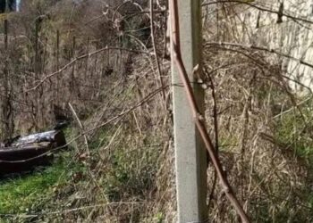 Bidoni vandalizzati al ‘Monte di Mozzo’: al vaglio le telecamere