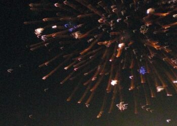 A Ponte San Pietro arriva “FOTO”: lo sguardo unico dei ragazzi del CSE di Mozzo in mostra alla Sala Fallaci