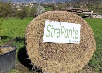 Domenica 22 marzo scatta la 6ª StraPonte: tre percorsi tra sport e beneficenza