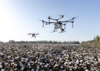 Giallo notturno sull’Adda a Calusco: salvato un 27enne, ma il racconto di “spari e risse” non trova riscontri. In azione anche i droni delle Olimpiadi